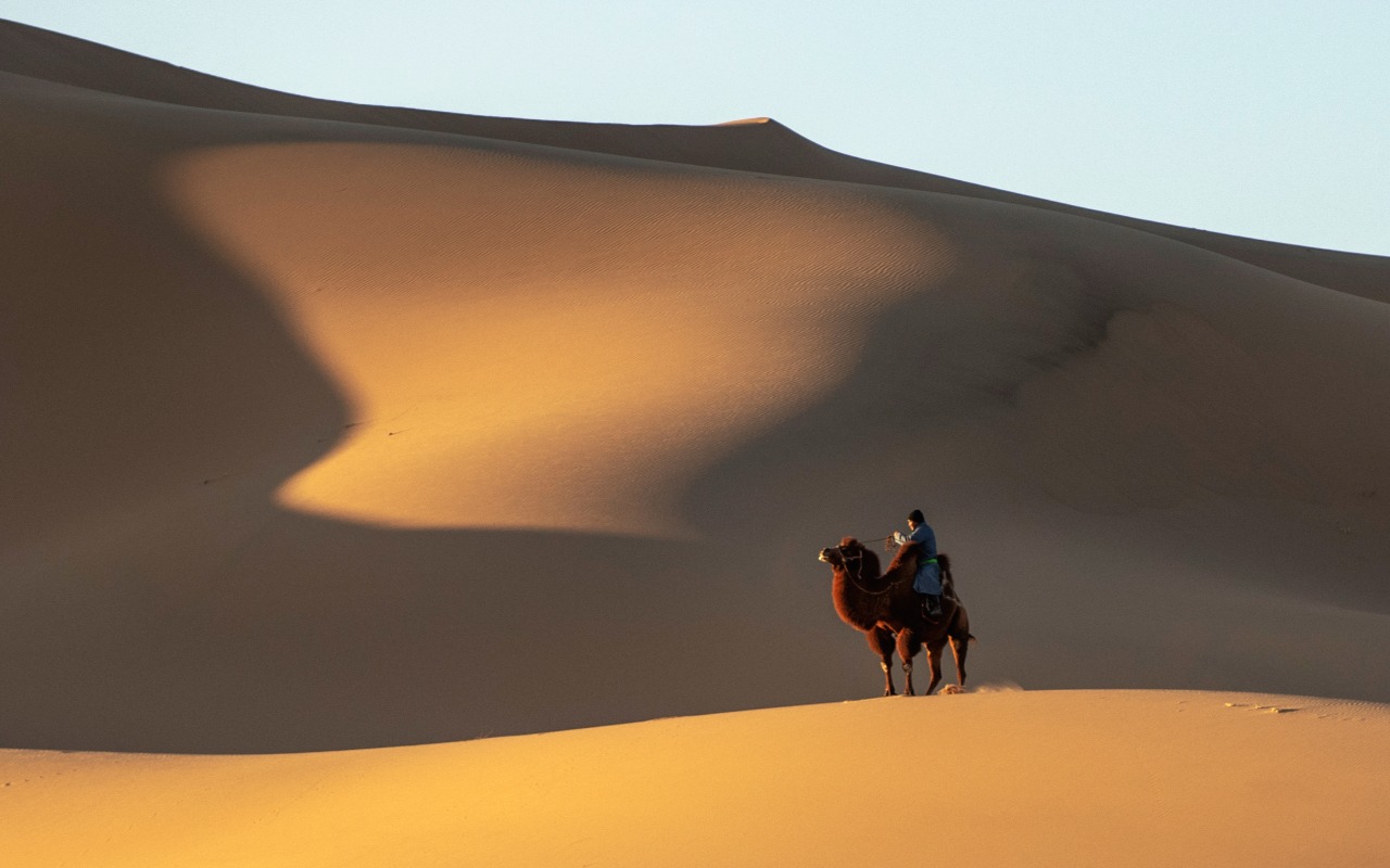 Mighty Khongor sand dunes | Premium Travel Mongolia