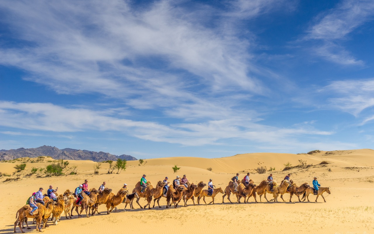 Camel riding in the Gobi desert | Premium Travel Mongolia