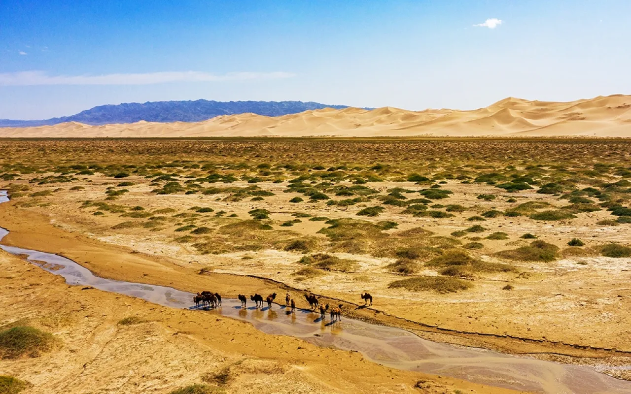 Mongolian Gobi | Premium Travel Mongolia
