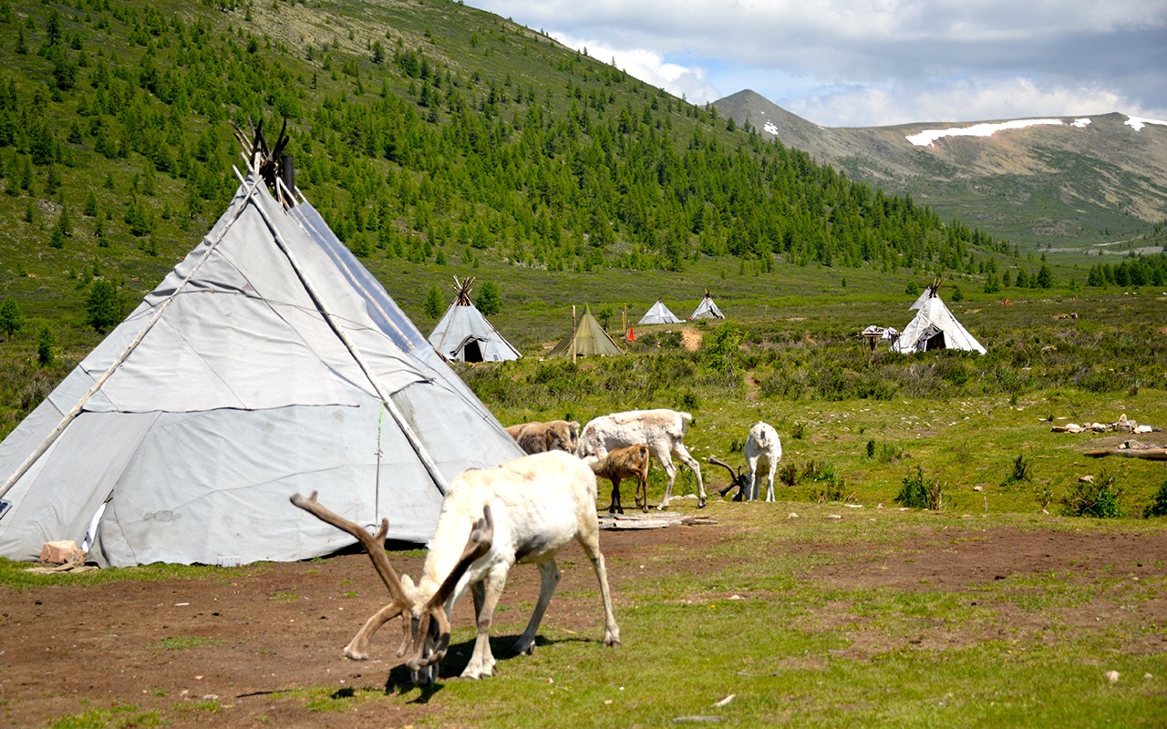 Tsaatan tribe | Premium Travel Mongolia