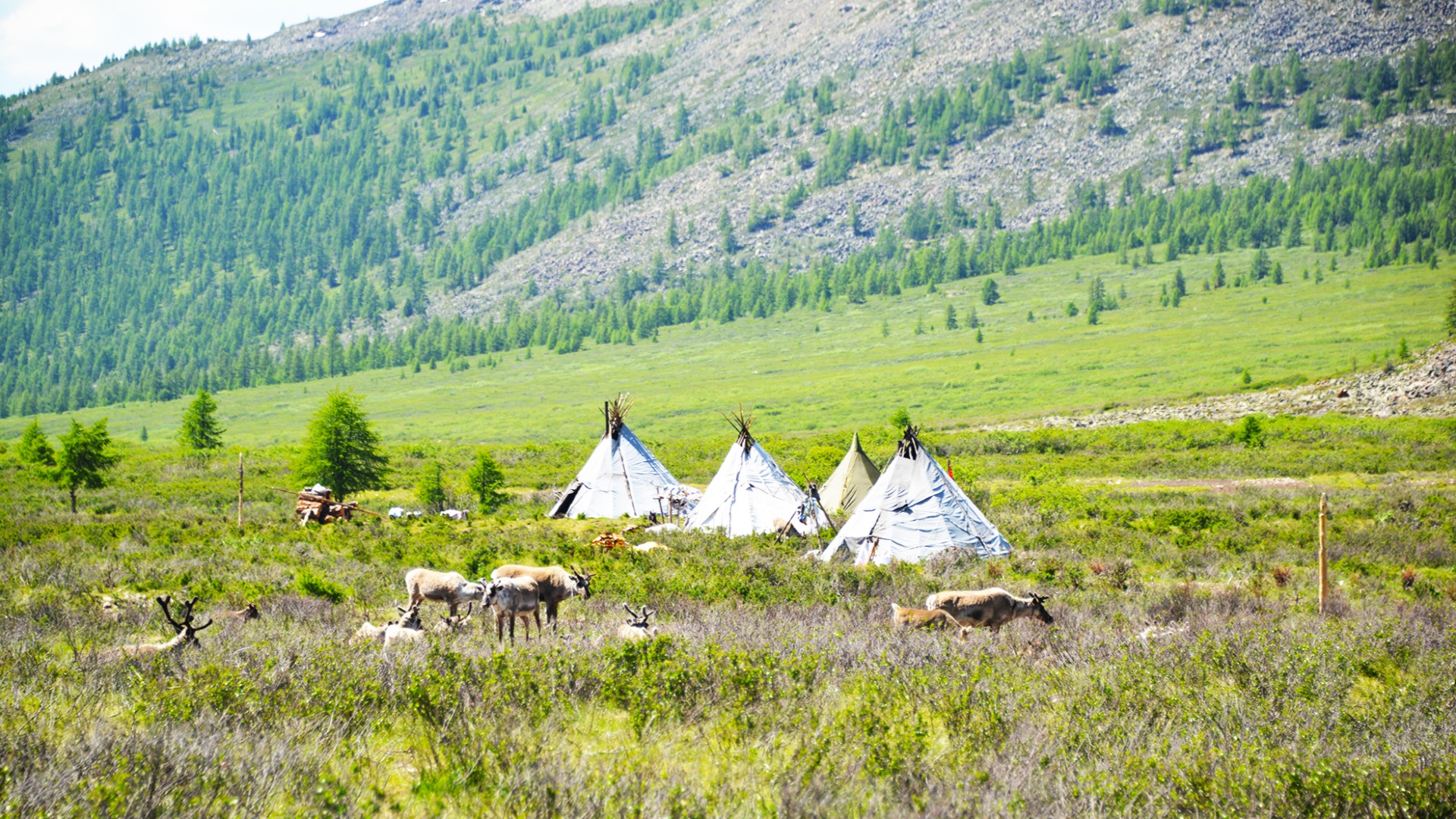 GET INSPIRED | Premium Travel Mongolia