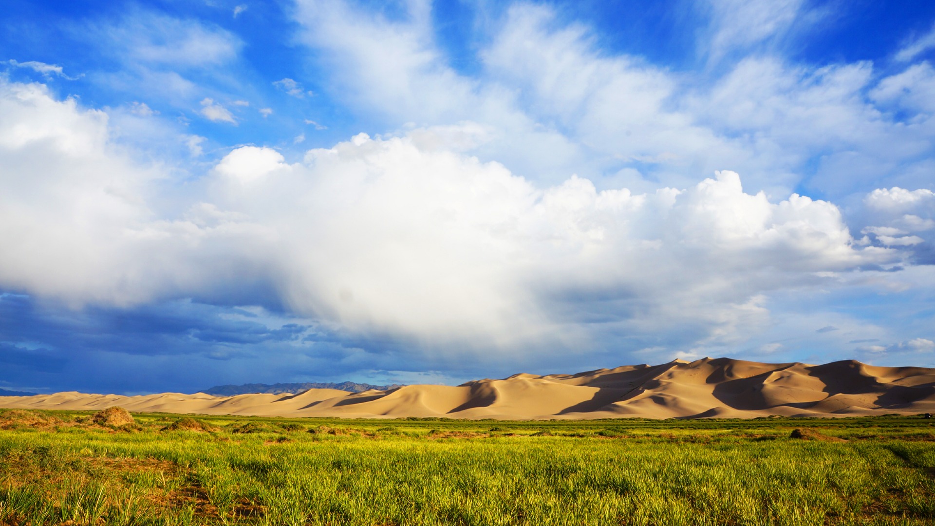 TOURS EXCEEDING EXPECTATIONS | Premium Travel Mongolia