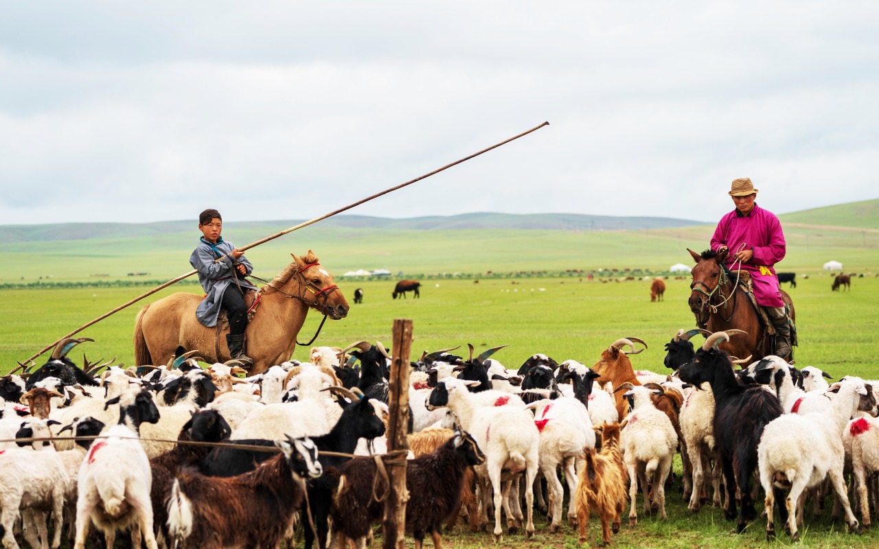 Mongolia FAQ | Premium Travel Mongolia