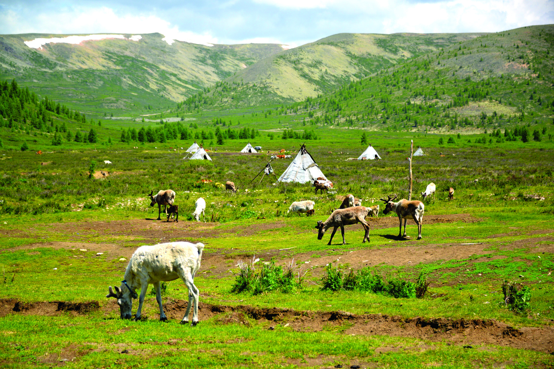 Tenetur ea assumenda quia. | Premium Travel Mongolia