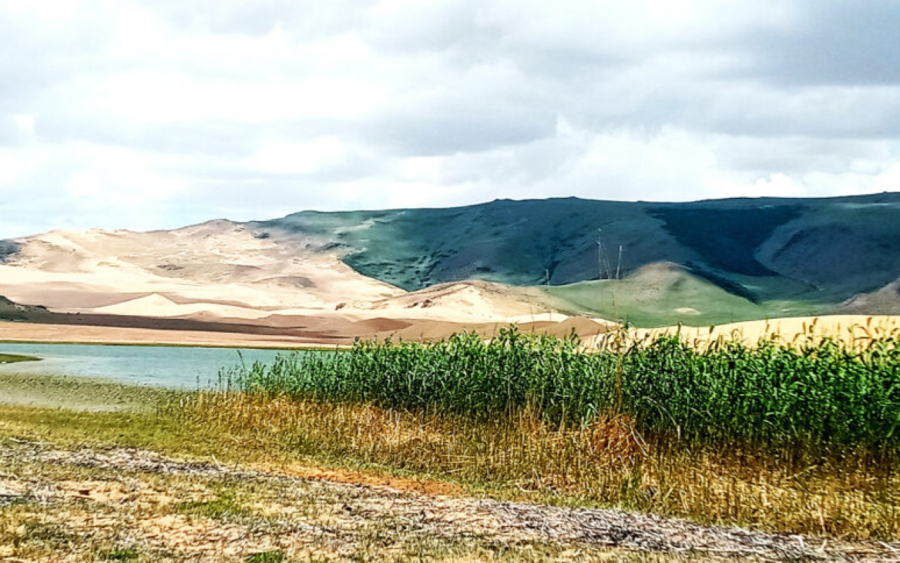 Reed – “Ulaagchyn Khar Nuur” Erdenekhairkhan, Zavkhan province, Mongolia. | Premium Travel Mongolia
