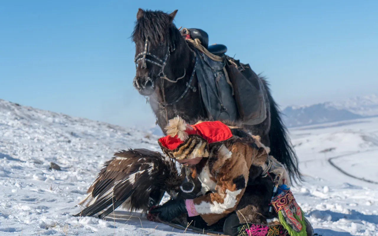 Eagle hunting experience  | Premium Travel Mongolia