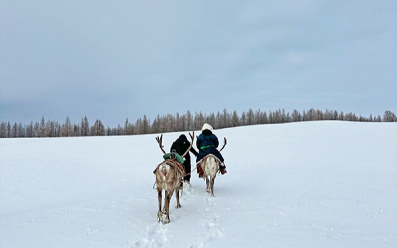 Ever dreamt of reindeer riding? Your chance awaits! 🦌🌨️ #ReindeerAdventure #WinterWonders | Premium Travel Mongolia