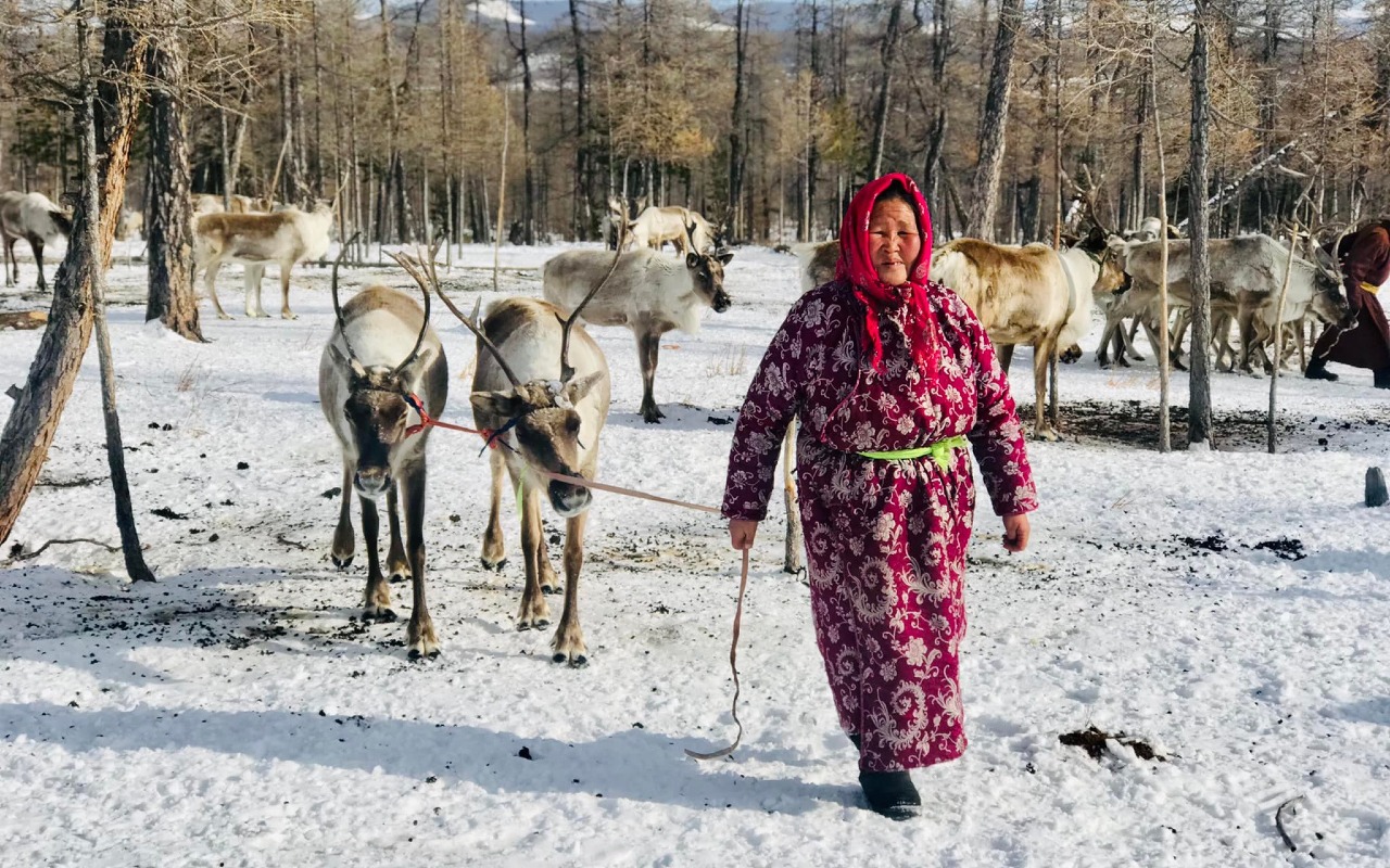 Reindeer riders | Premium Travel Mongolia