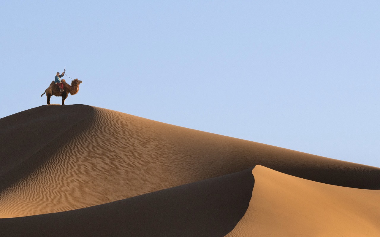 Camel riding in Khongor sand dunes | Premium Travel Mongolia