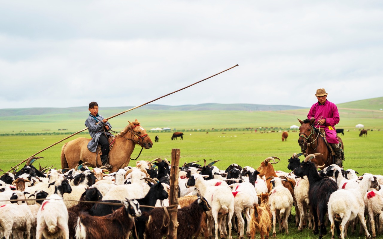 Nomads | Premium Travel Mongolia