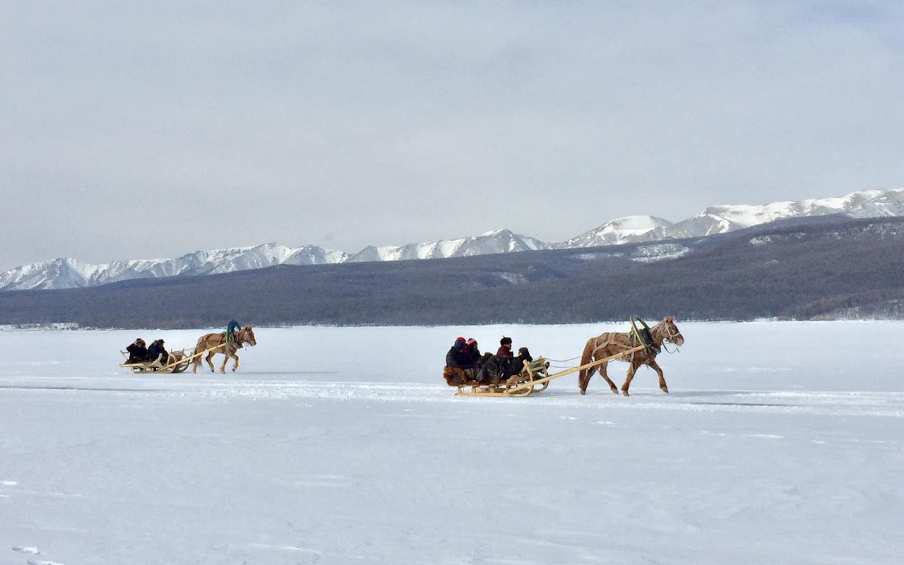 Horse-sleigh riding on lake Toilogt or Khovsgol | Premium Travel Mongolia