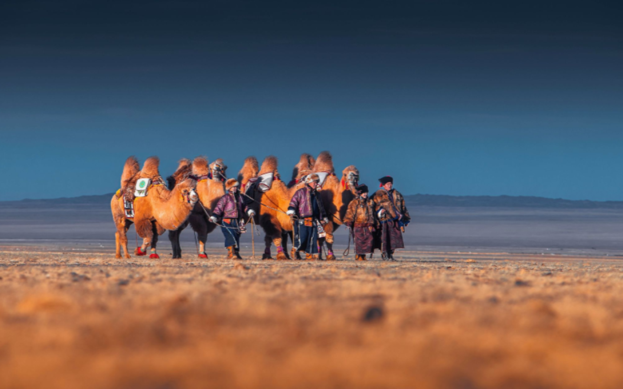 Camel herders in the Gobi. Photo credit to Montsame agency | Premium Travel Mongolia