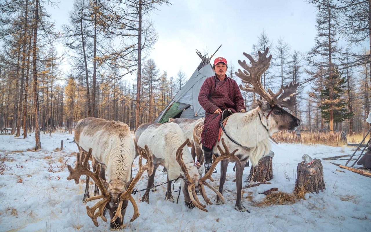 Reindeer riders | Premium Travel Mongolia